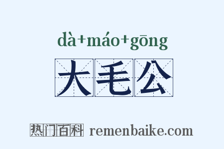大毛公是什么意思的图片